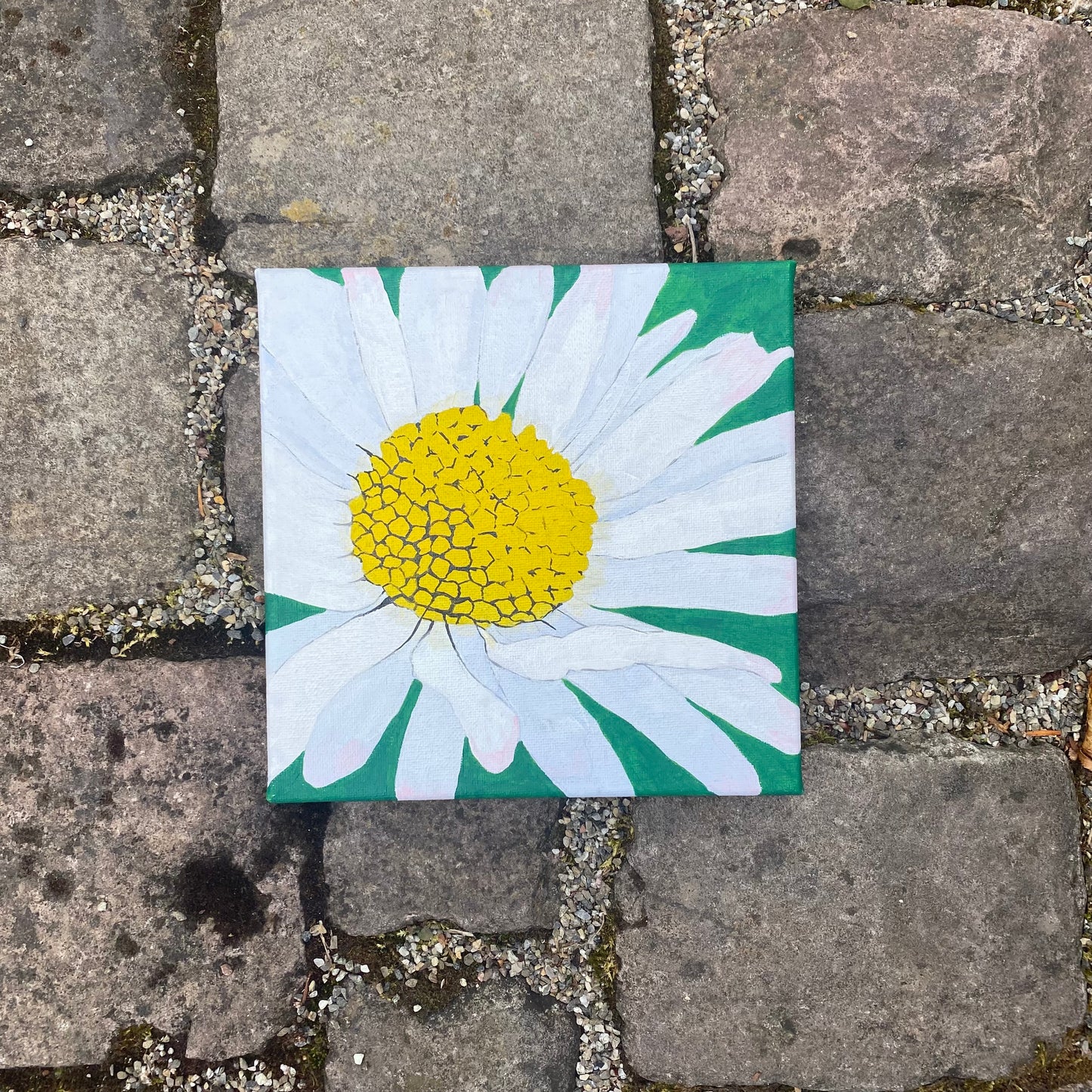Gänseblümchen