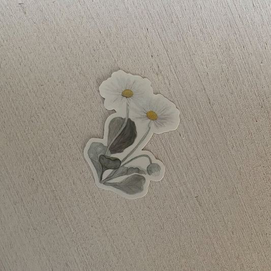 12 Geburtsblumen I Vinylaufkleber