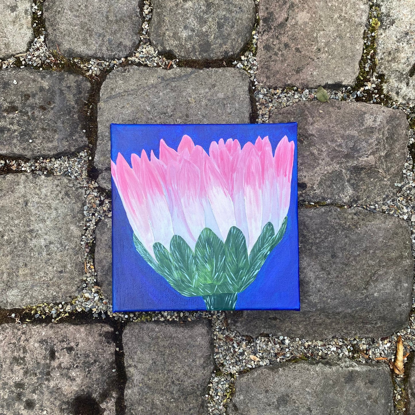 Gänseblümchen