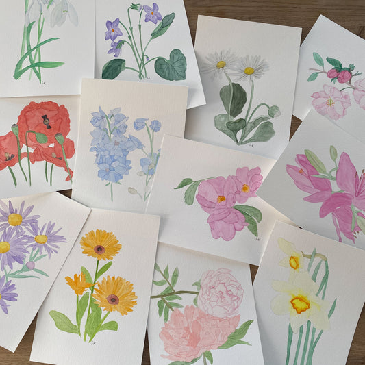 12 Geburtsblumen I Originalbild