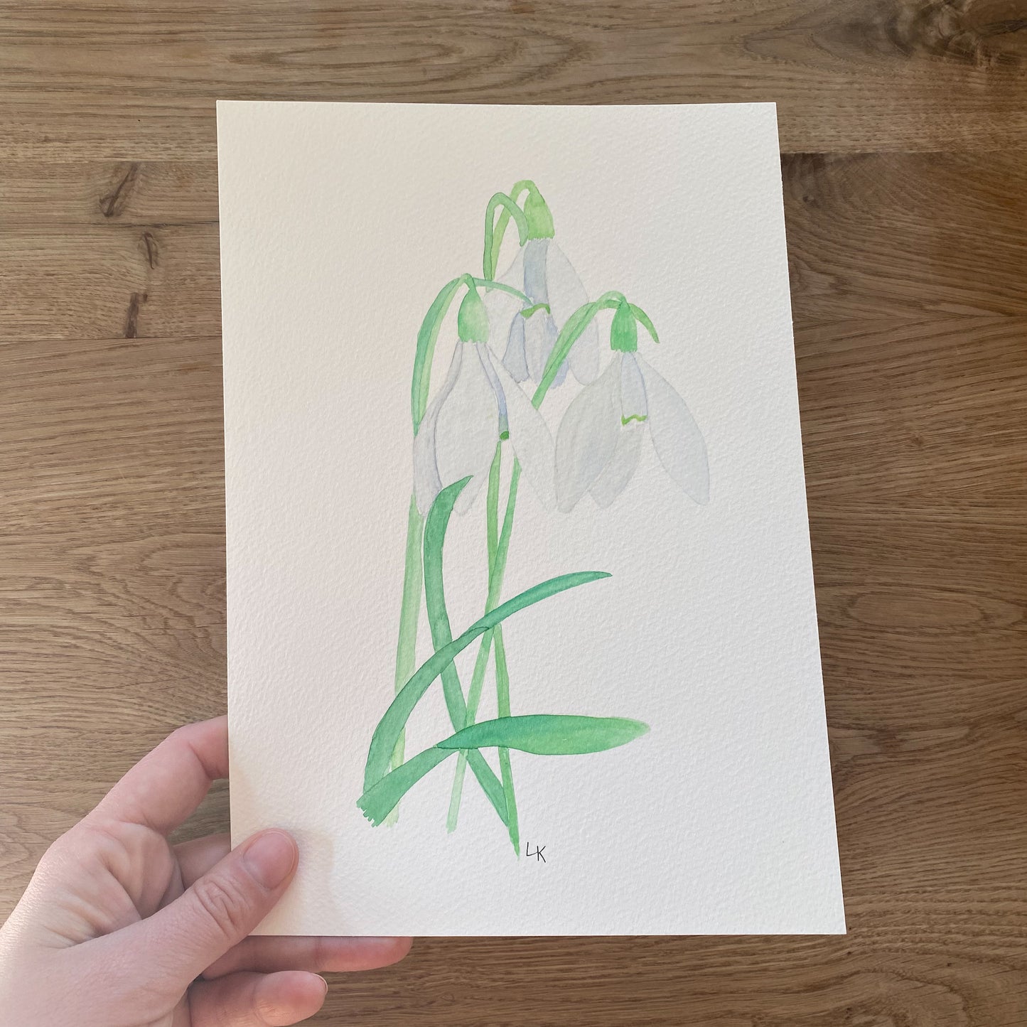 12 Geburtsblumen I Originalbild