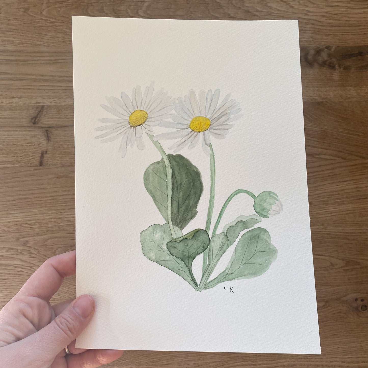 12 Geburtsblumen I Originalbild