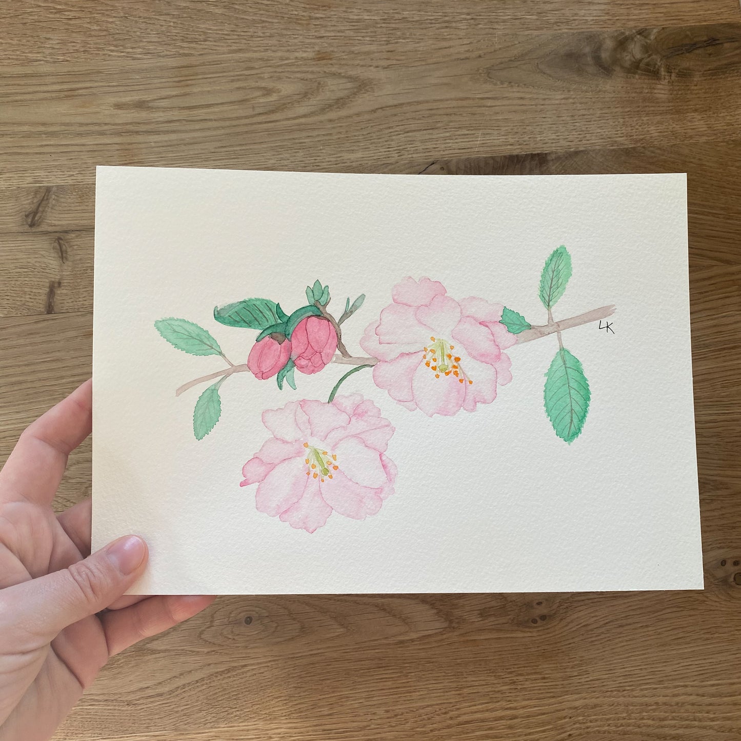 12 Geburtsblumen I Originalbild