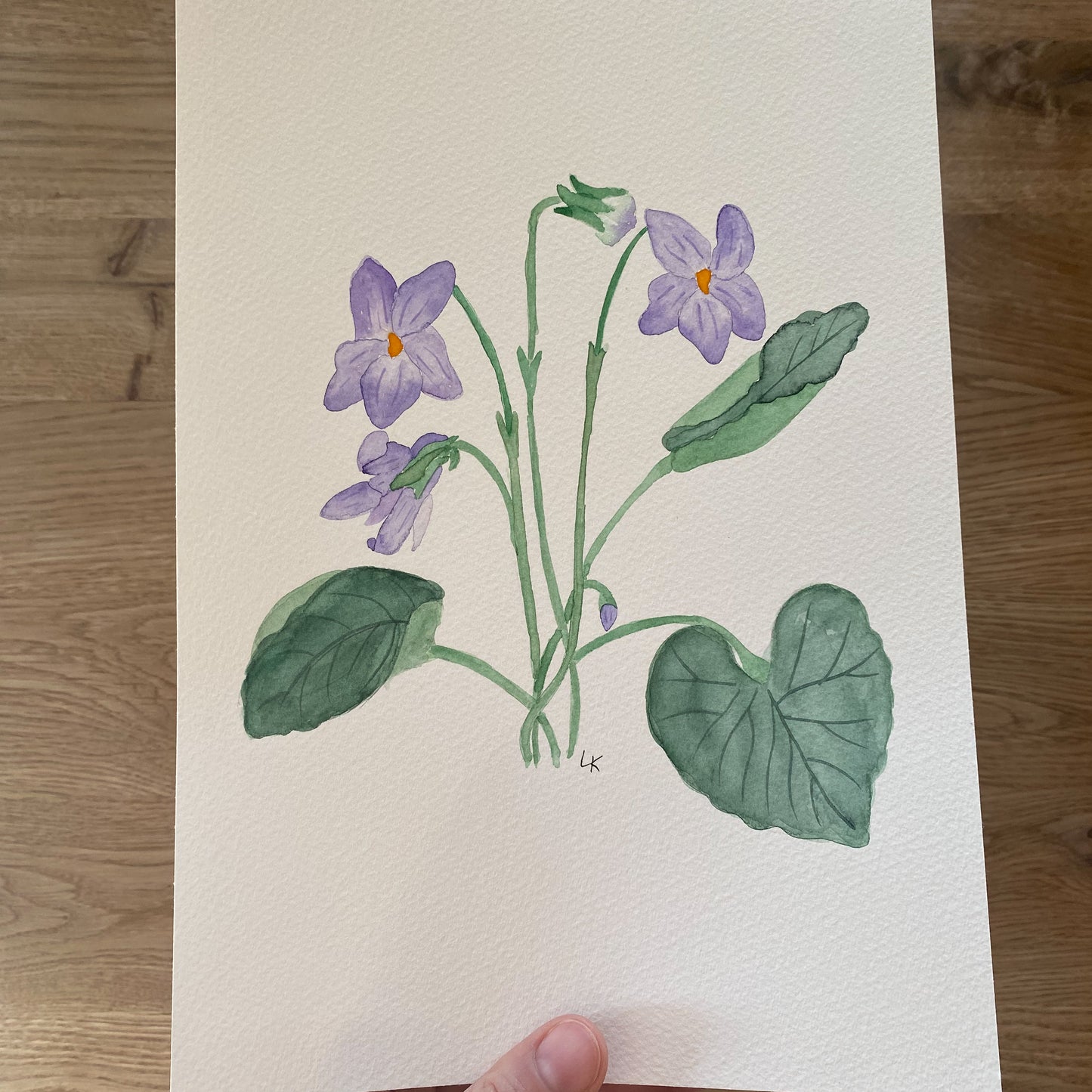 12 Geburtsblumen I Originalbild