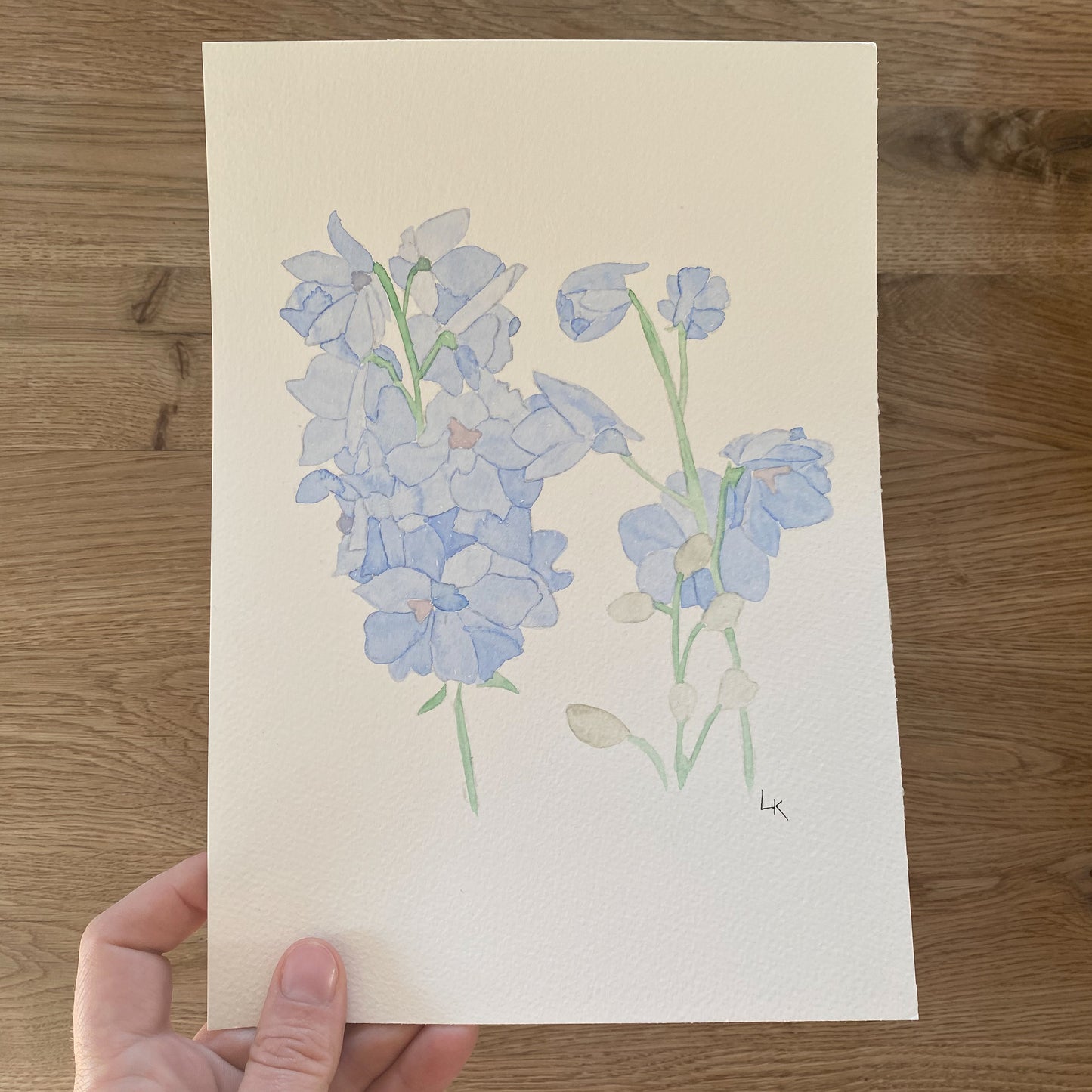 12 Geburtsblumen I Originalbild