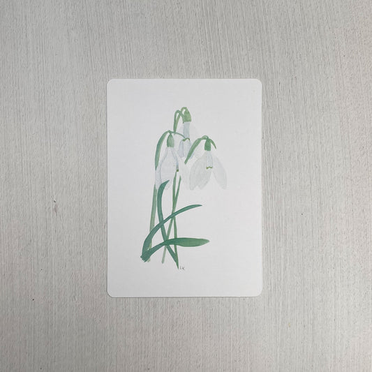 12 Geburtsblumen I Fine Art Print