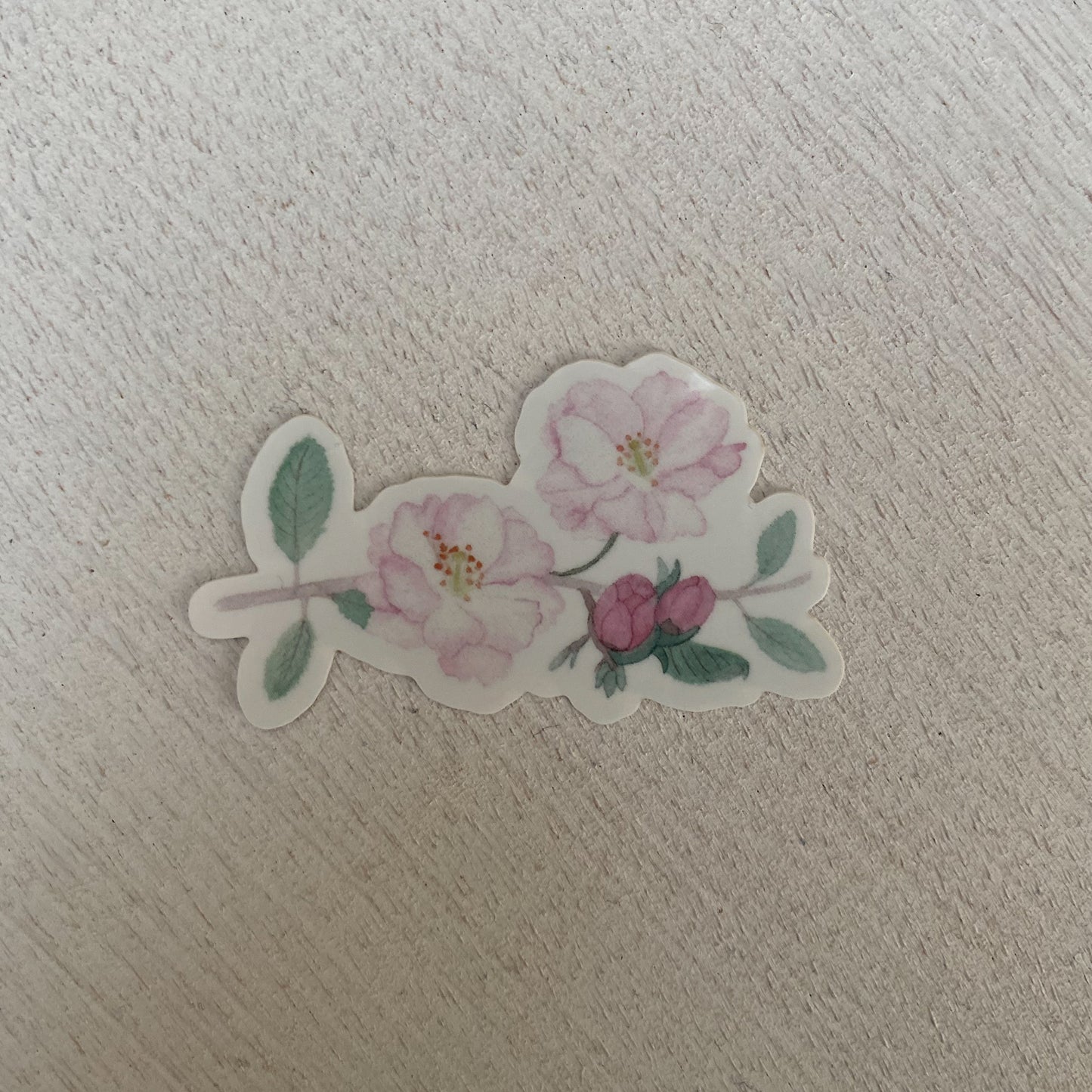 12 Geburtsblumen I Vinylaufkleber