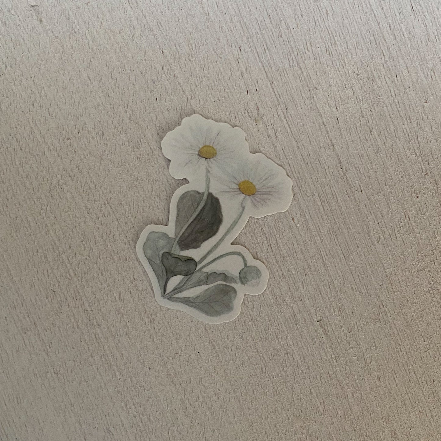 12 Geburtsblumen I Vinylaufkleber
